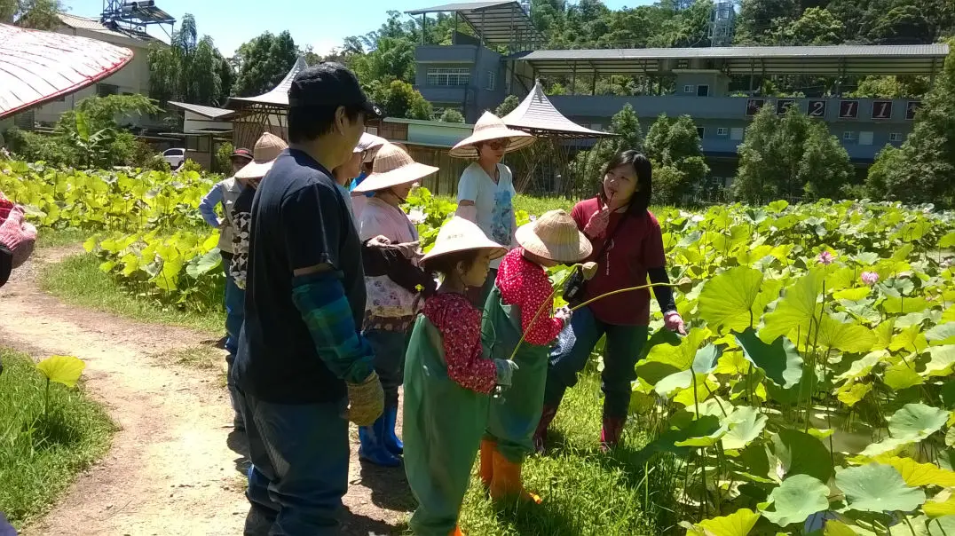 生態見學遊